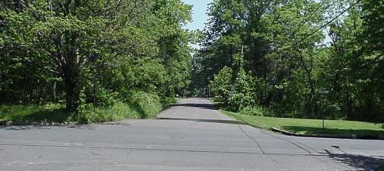 view north on Tower Rd from Christie