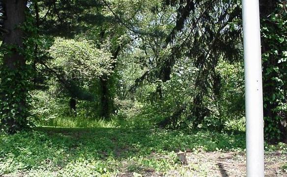 Edison's home site